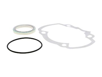 Obrázok z Tesnenia valca (sada) Polini 50cc pre Peugeot vertical AC