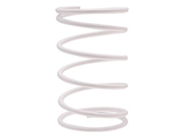 Obrázok z kontrastná pružina spojky  Polini -30% pre Piaggio