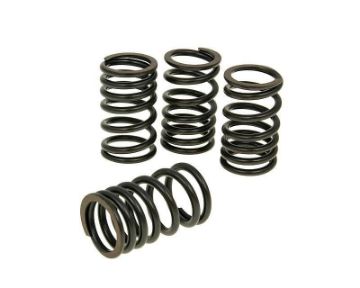 Obrázok z Pružiny ventilov sada Malossi pre Honda SH300i (07-), NSS 300i